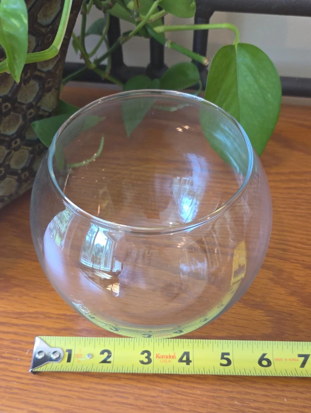 Clear Glass Fishbowl Vase